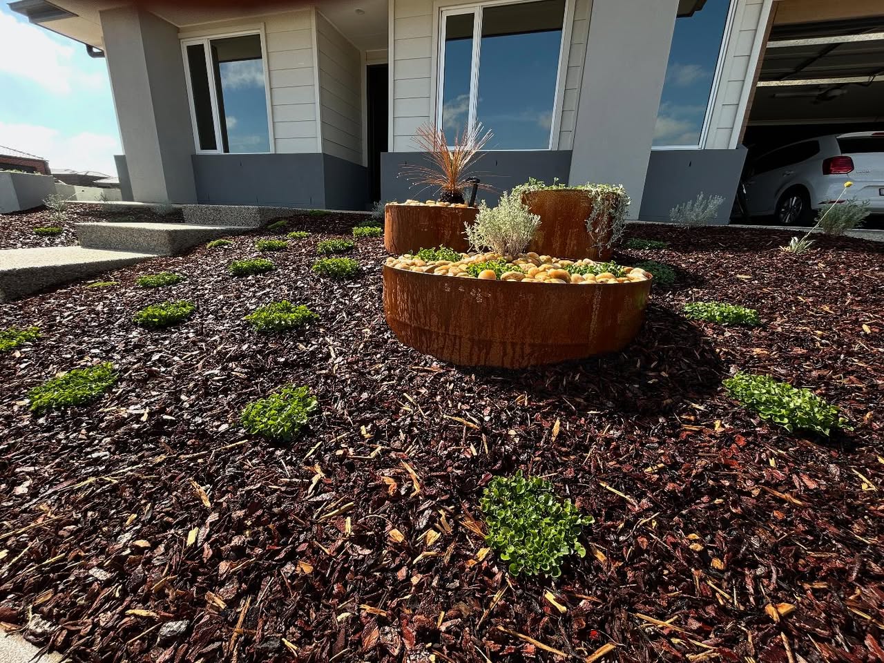 Recent front garden build in Delacombe with corten steel and olive planting